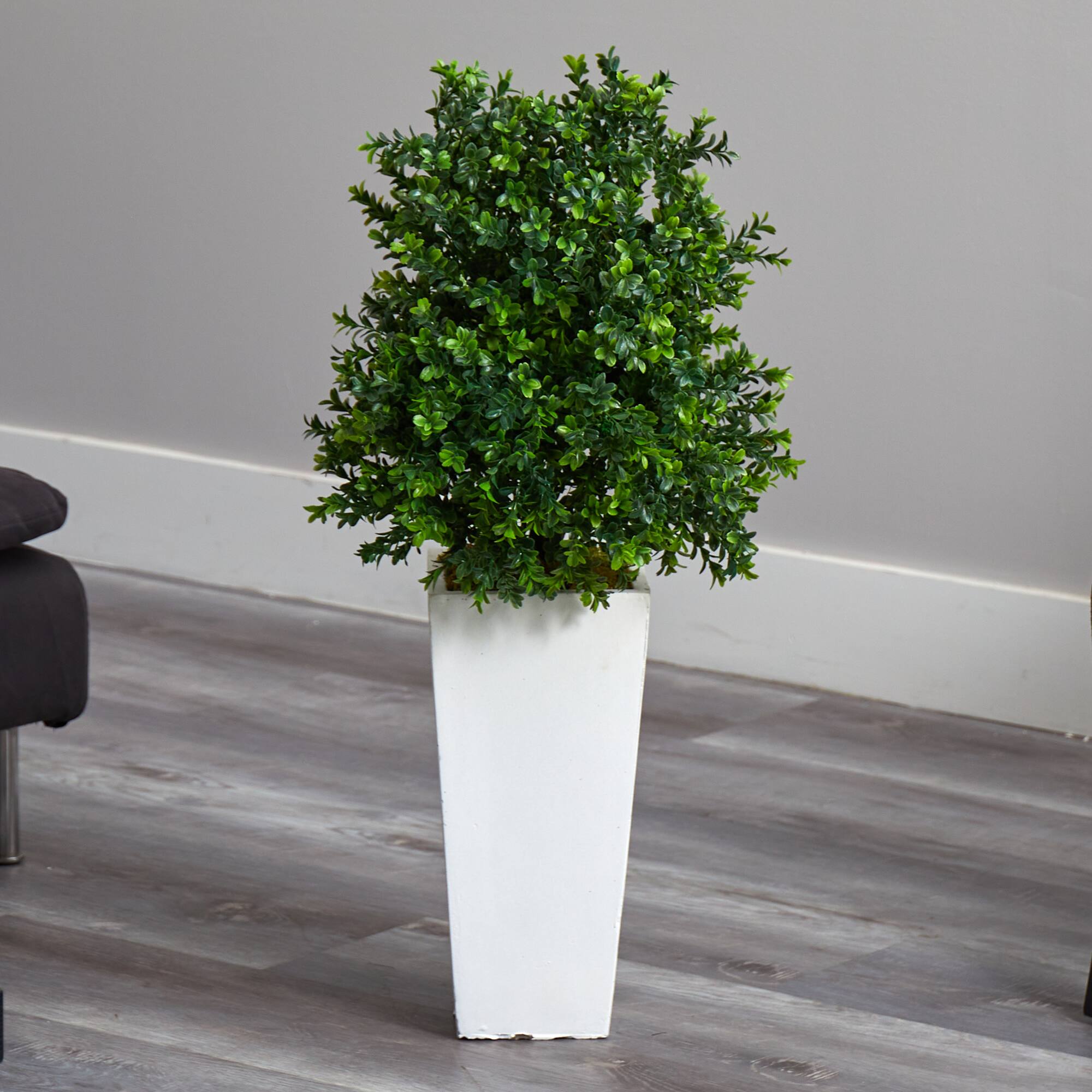 2.75ft. Sweet Grass Plant in White Tower Planter